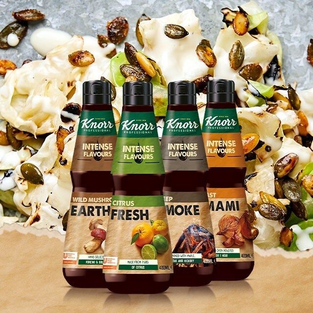 Mis on Knorr Professional essentsid?