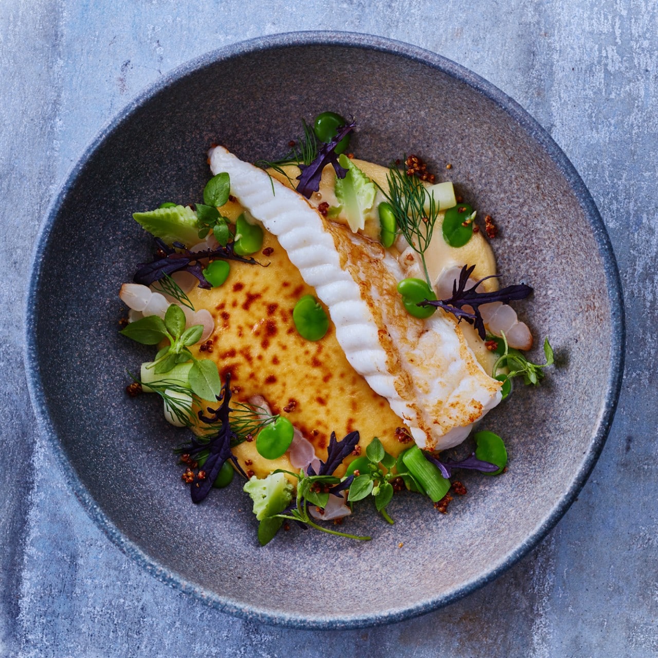 Seitse kalaideed jõuludeks