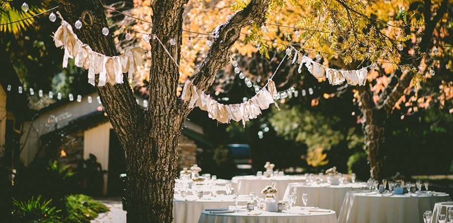 Maistas renginiams - kaip patiekti lauko renginyje?