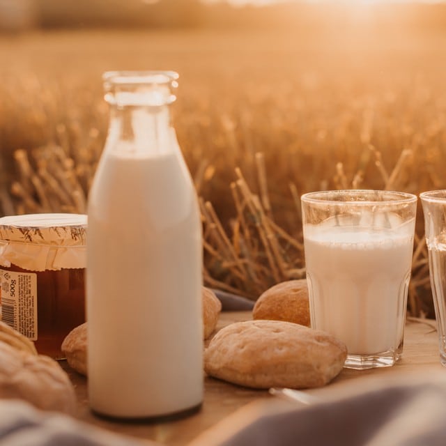 Kuo patiekaluose be laktozės pakeisti pieno produktus?