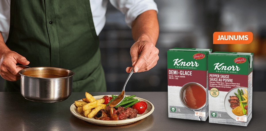 KNORR PROFESSIONAL