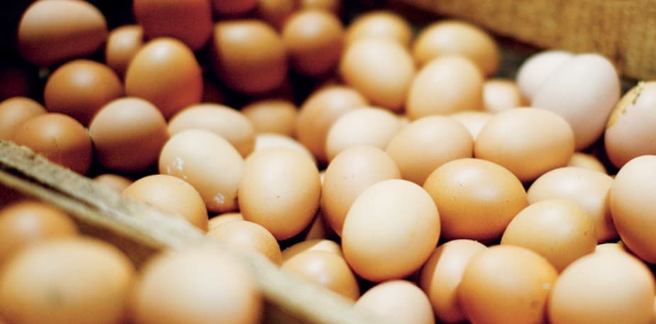 Ēdiena izmaksu aprēķināšana